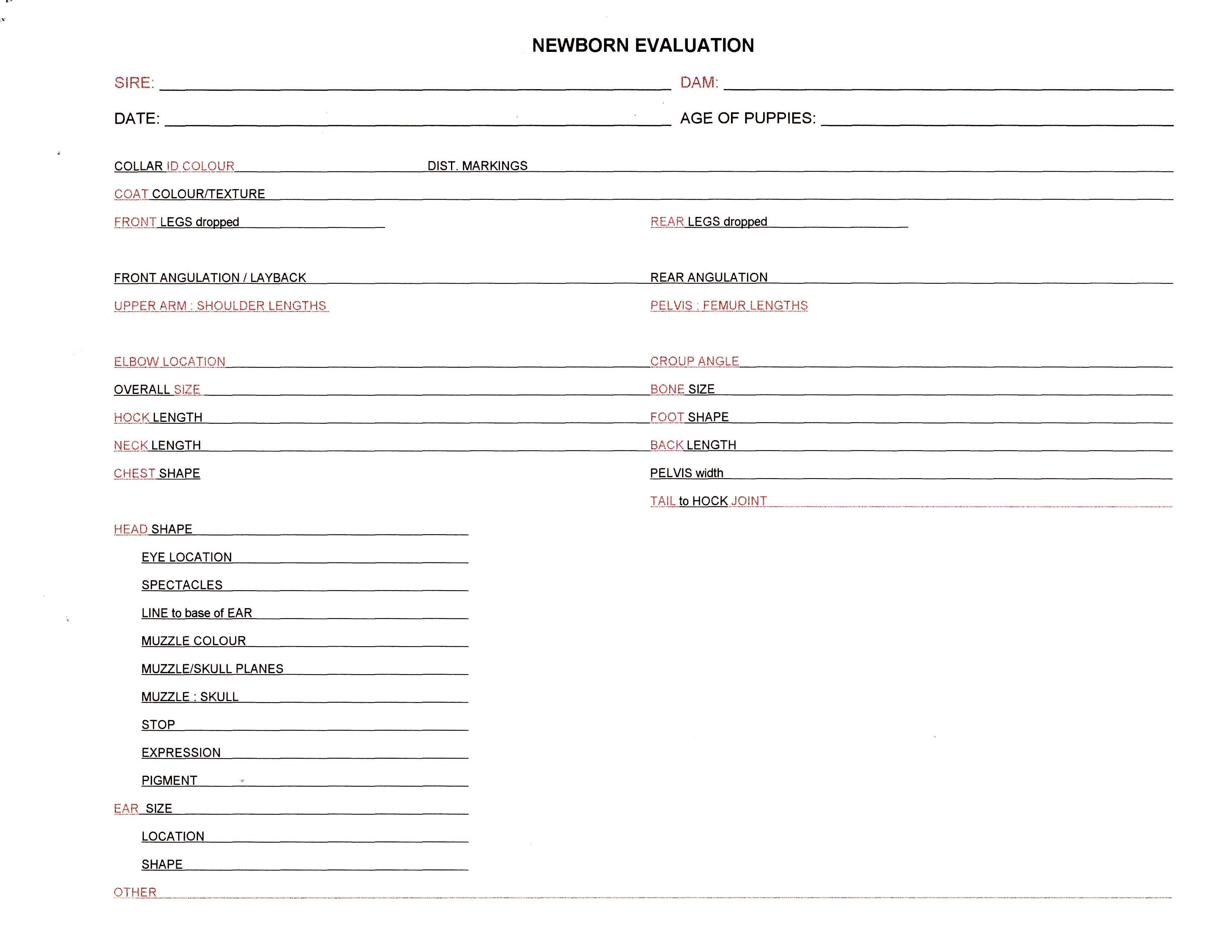 Newborn Puppy Evaluation