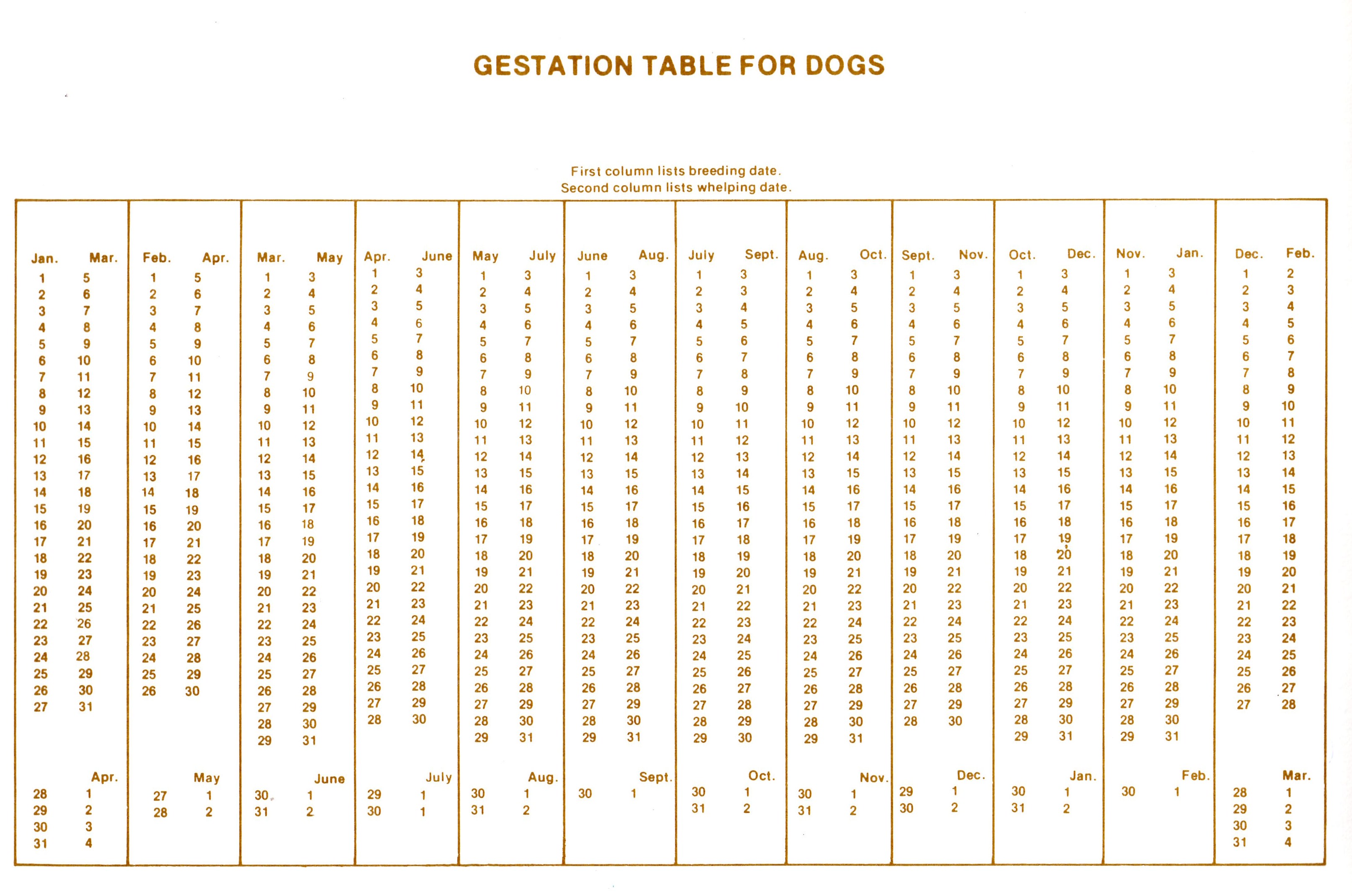 Gestation Chart For Dogs