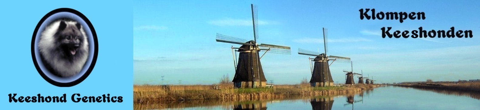 row of windmills found in Kinderdijk, Holland